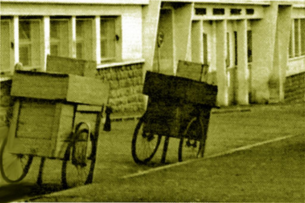 ORAN CALENTICA LES CARRICOS.JPG